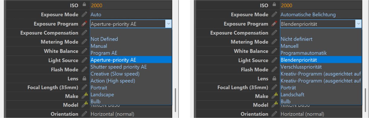 The Metadata Panel using English or German for list-style tags.