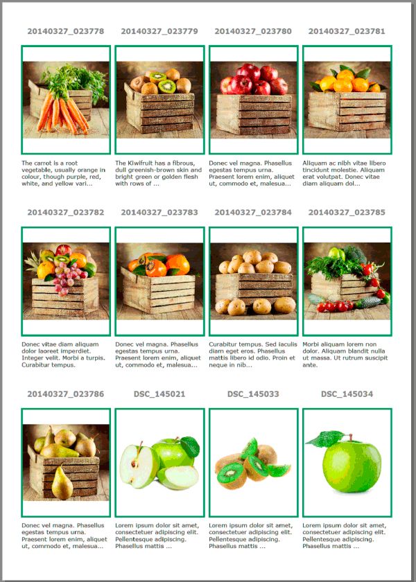 A screen shot of a rendered page with many images, each having its own header and footer.