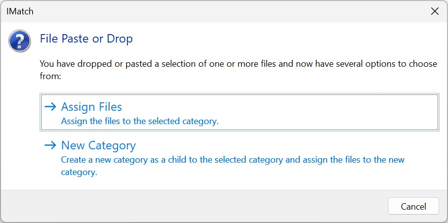 The dialog displayed when you paste files into the Category View.