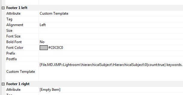 Setting up a custom file window layout.