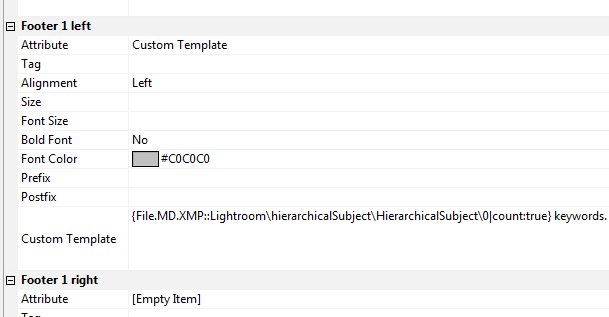 Setting up a custom file window layout.