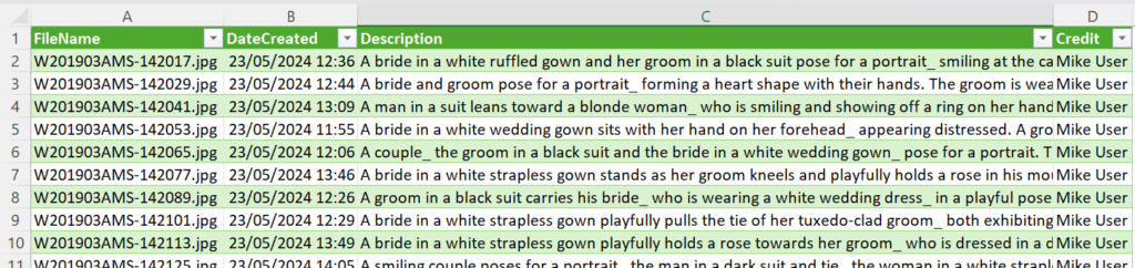 Screen shot of Excel with the IMatch Text Exporter Output.