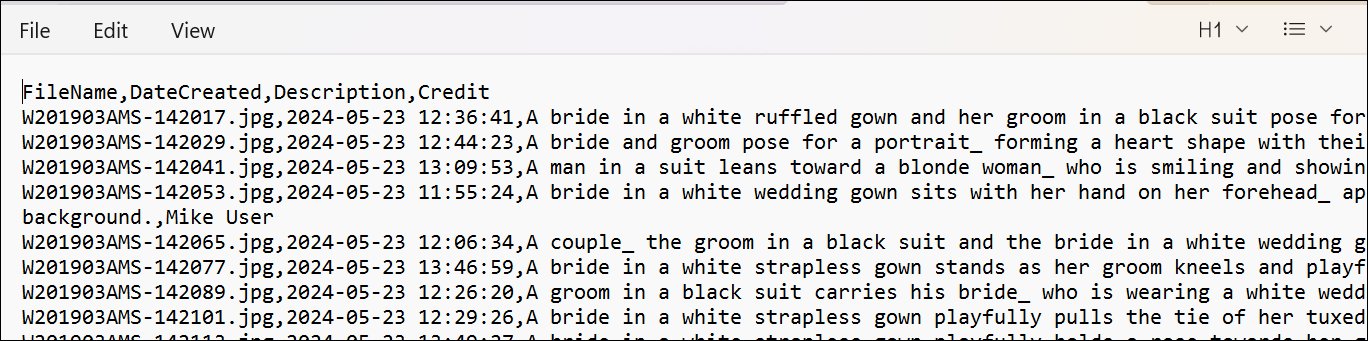 Screen shot of Windows Notepad with the IMatch Text Exporter Output.
