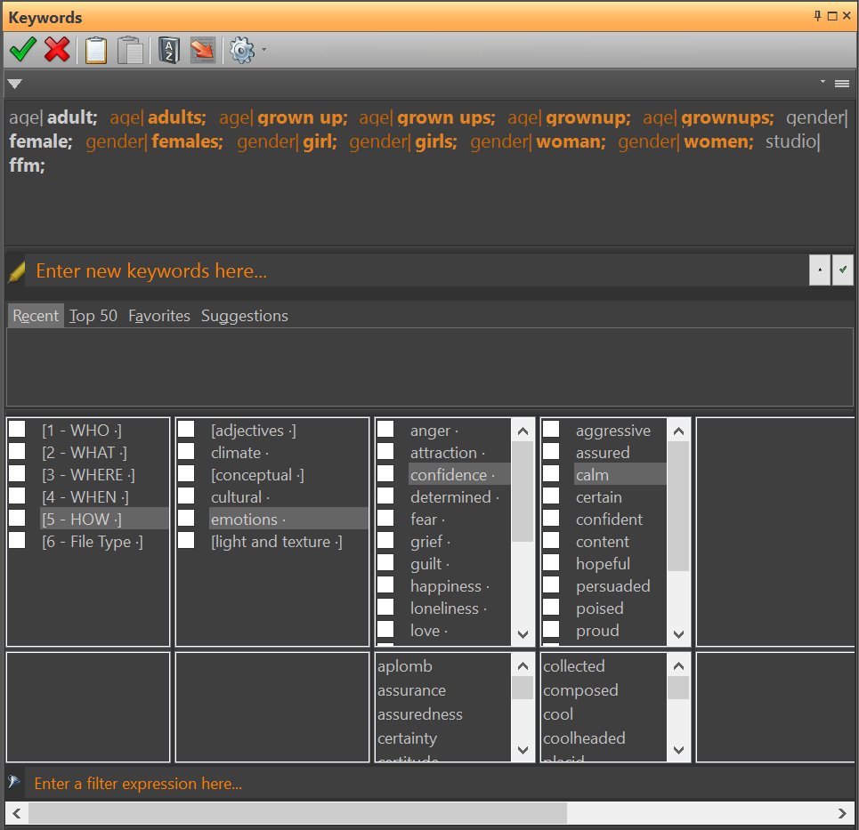 IMatch Keyword Panel