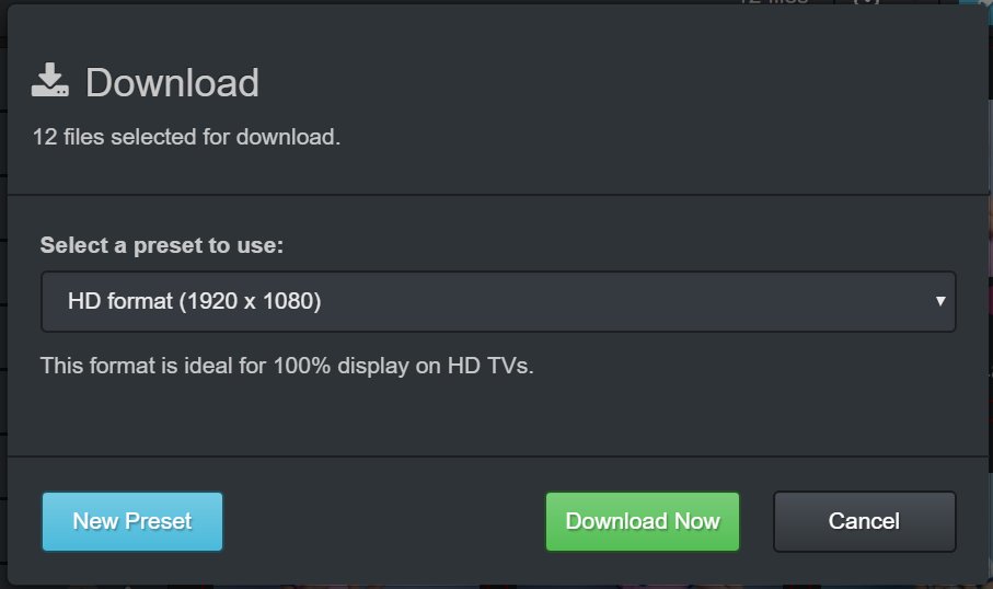 IMatch Anywhere WebViewer Image Downloader