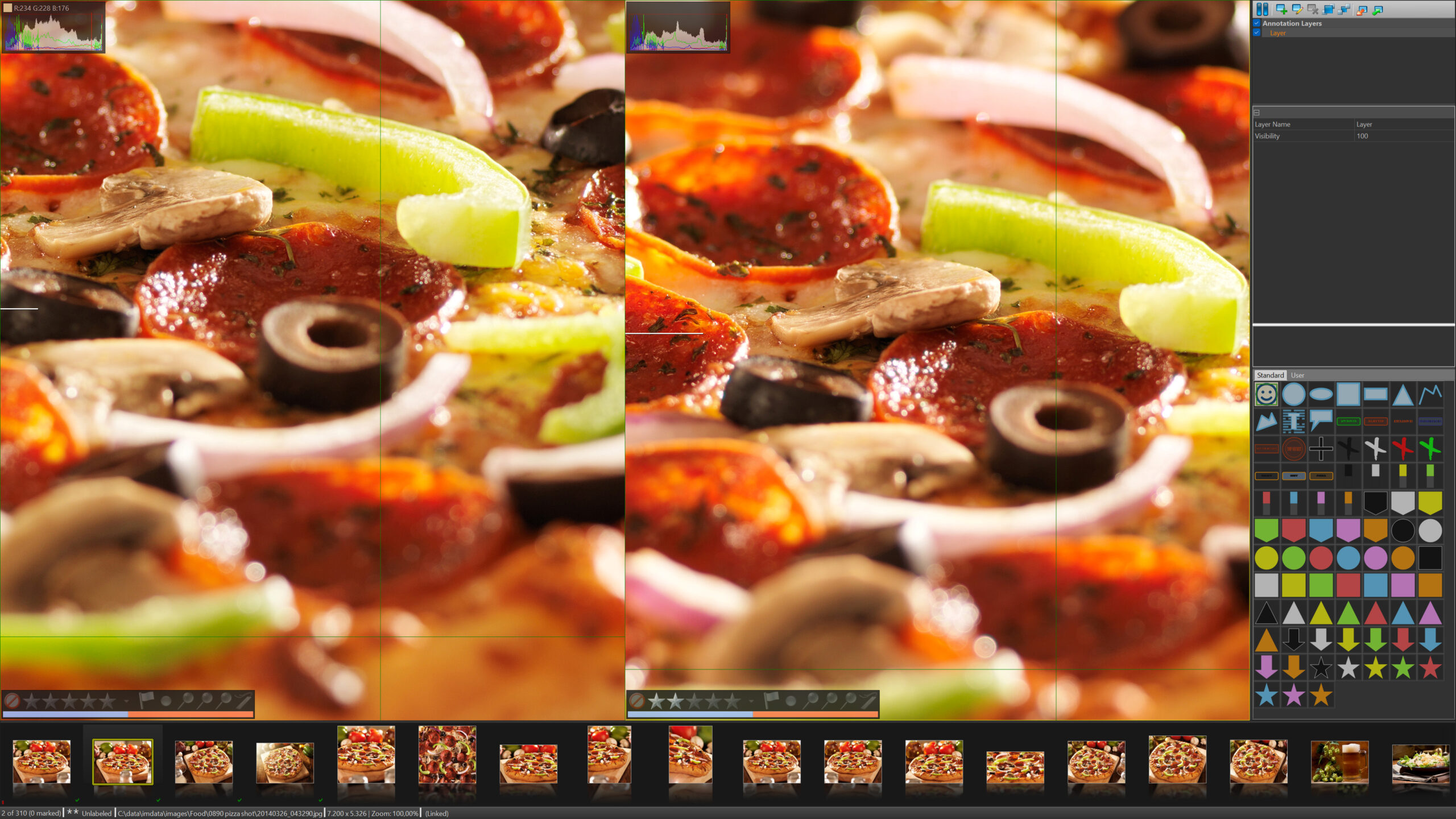 IMatch Viewer: deep zoom and side-by-side for quick culling.