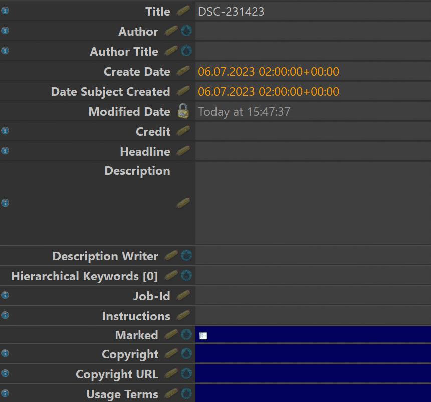 This animation shows the IMatch Metadata Panel with a user selecting applying an AutoFill template by starting to type.