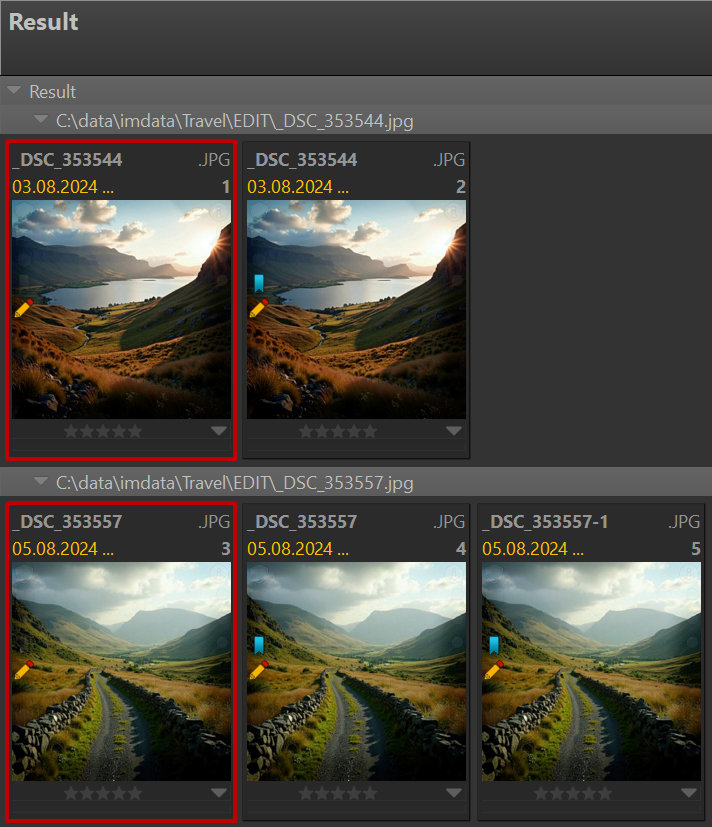 This image shows a result window displayed the the copies found for the two original images shown with a red border.