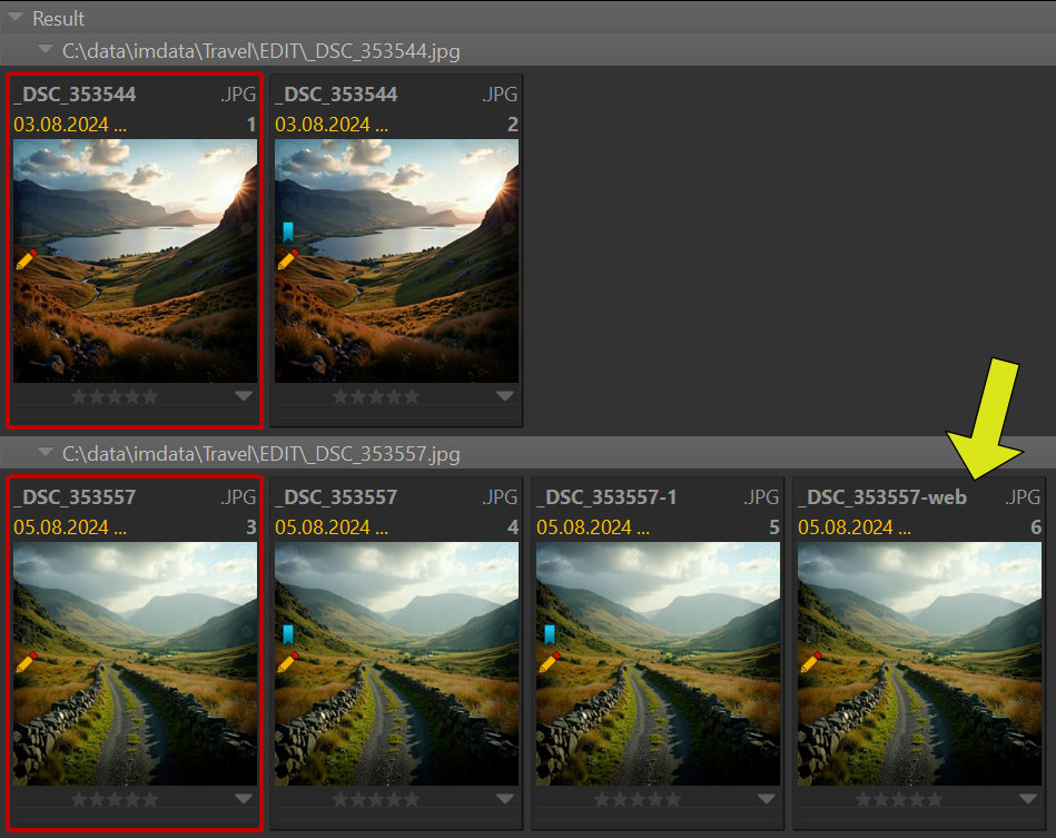 This image shows the results of a duplicate search in IMatch. This search mode can find duplicates, even if metadata or other data in the image was changed.