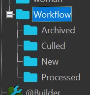 IMatch organizes files by their workflow keywords in the @Keywords category.