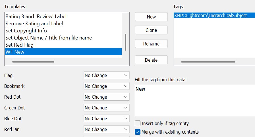 A screen shot of the Metadata Template editor in IMatch, showing the newly created template.