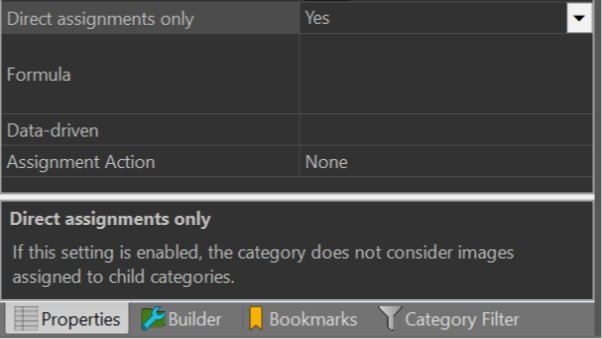 A screen shot of the category properties panel in the IMatch Category View.