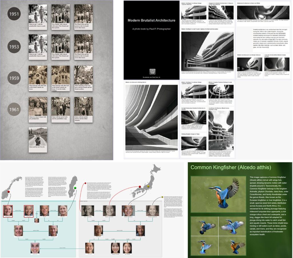 This image shows some examples for IMatch albums.