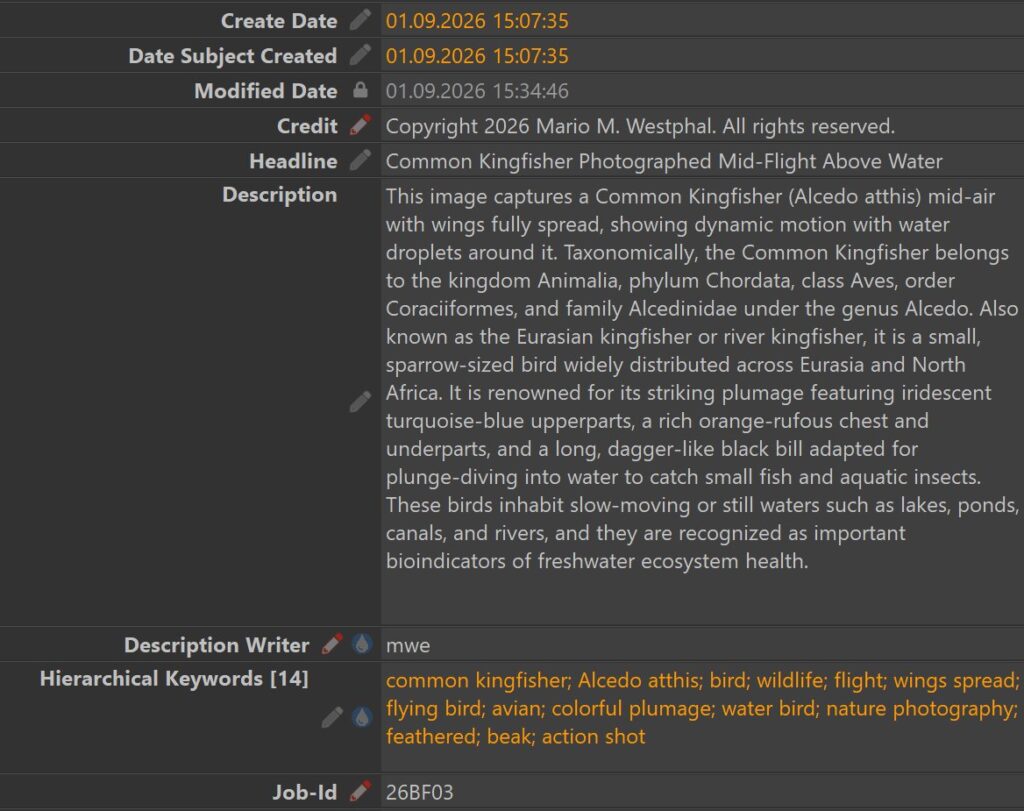 A screenshot of the Metadata Panel in IMatch shows the data for an image with timestamps, headline, description, keywords, author and copyright information.
