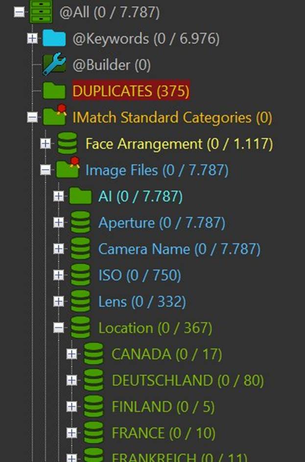 A screenshot of the IMatch Category View.